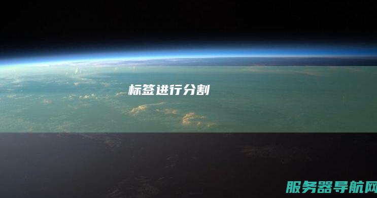 标签进行分割