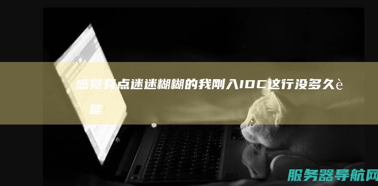 感觉有点迷迷糊糊的 我刚入IDC这行没多久 谁能具体介绍下IDC到底是个什么概念