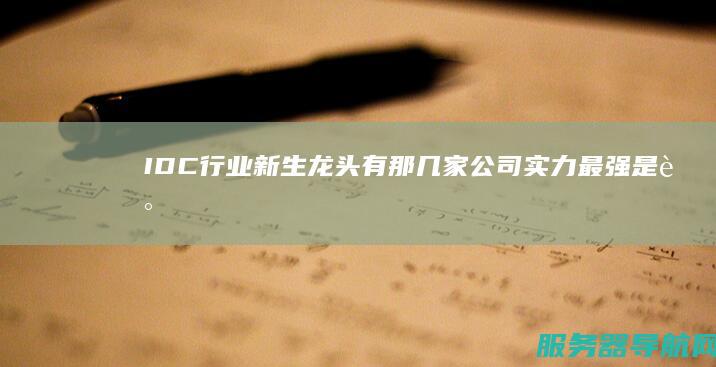 IDC行业新生龙头有那几家公司 实力最强是谁
