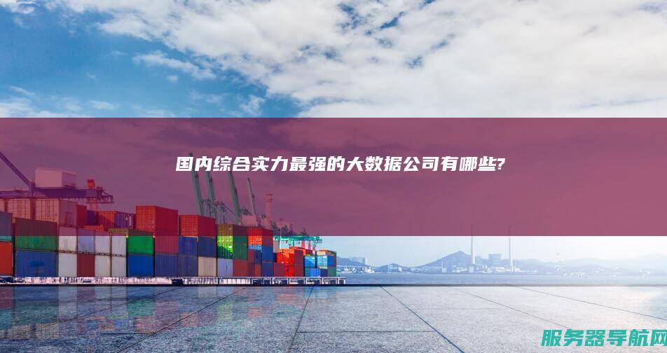 国内综合实力最强的大数据公司有哪些?