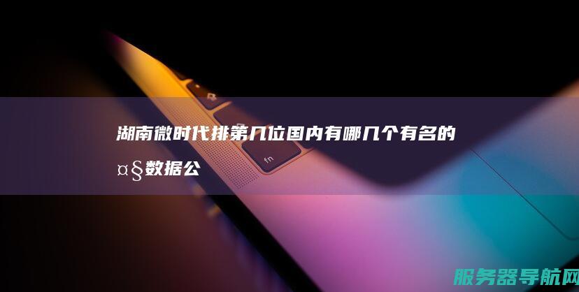 湖南微时代排第几位 国内有哪几个有名的大数据公司