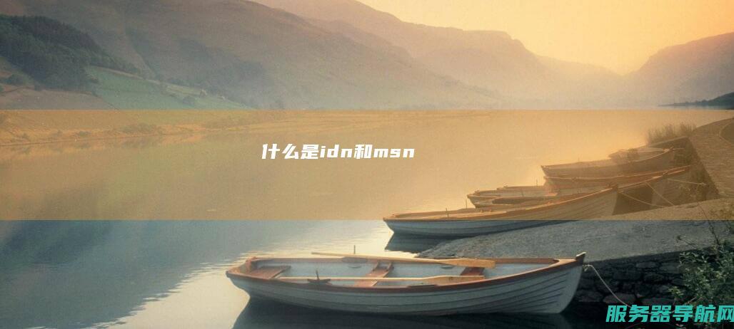 什么是idn和msn
