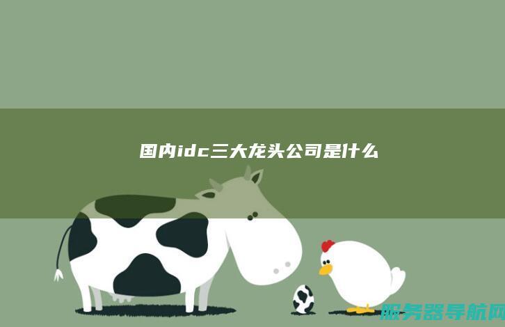 国内idc三大龙头公司是什么