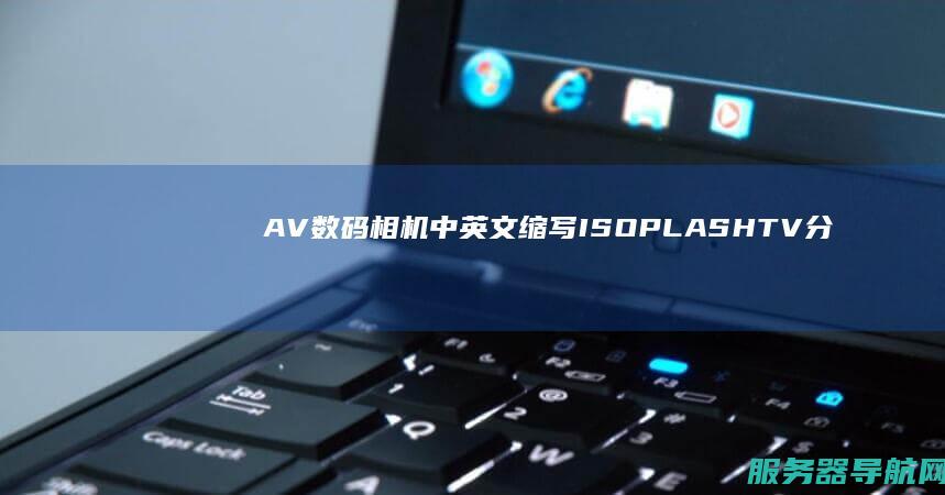 AV 数码相机中英文缩写ISO PLASH TV 分别代表什么意思?