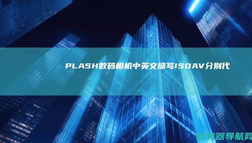 PLASH 数码相机中英文缩写ISO AV 分别代表什么意思? TV