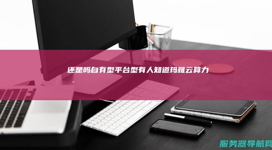 还是 吗 自有型 平台型 有人知道玛雅云算力是