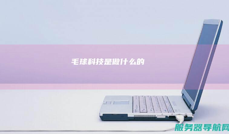 毛球科技是做什么的