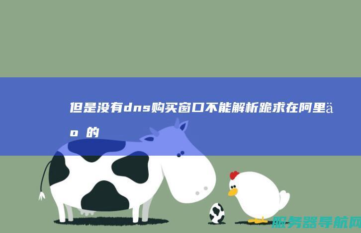 但是没有dns购买窗口不能解析 跪求 在阿里云的国际站上买了一个国外域名 求大神教怎么解析~