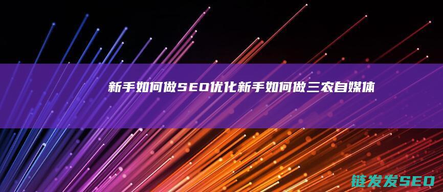新手如何做SEO优化 (新手如何做三农自媒体)