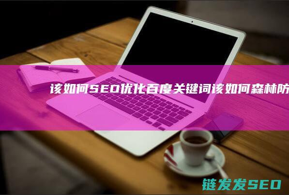 该如何SEO优化百度关键词 (该如何森林防火)