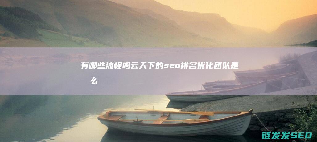 有哪些流程吗 云天下的seo排名优化团队是怎么做优化的 (有几个流程)