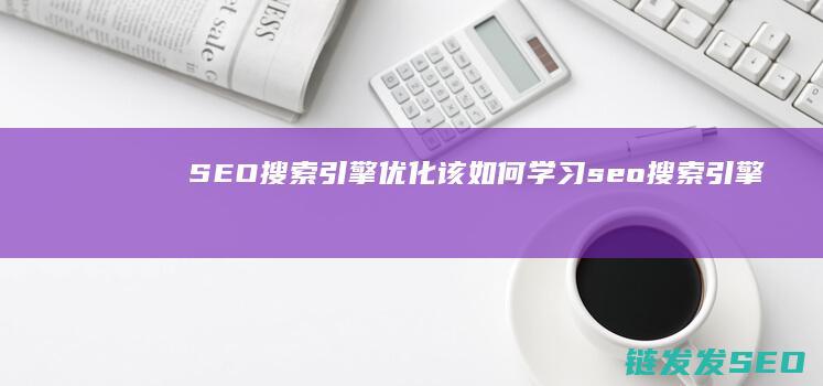 SEO搜索引擎优化该如何学习 (seo搜索引擎是什么)