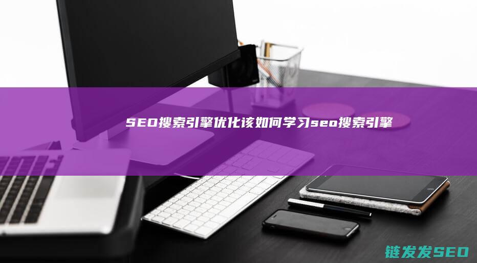 SEO搜索引擎优化该如何学习 (seo搜索引擎排名优化)
