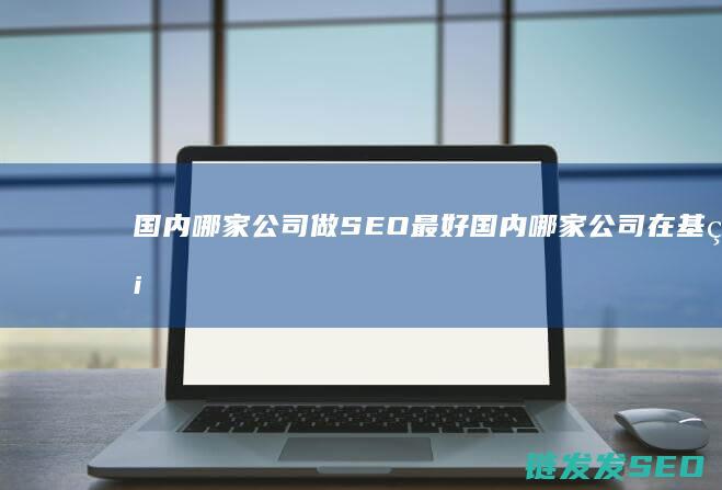 国内哪家公司做SEO最好 (国内哪家公司在基础硬件芯片领域做得很好)