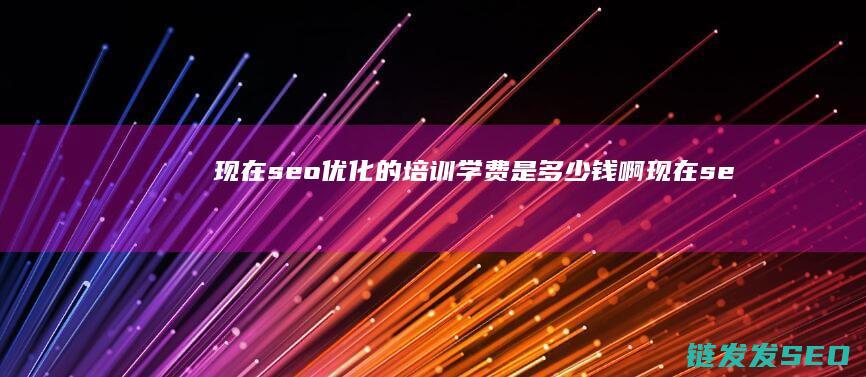 现在seo优化的培训 学费是多少钱啊 (现在seo好做吗)