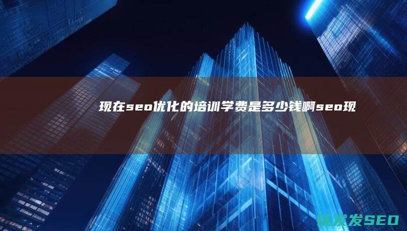 现在seo优化的培训 学费是多少钱啊 (seo现在还有用吗)