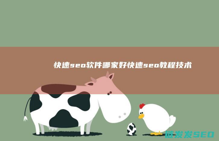 快速seo软件哪家好 (快速seo教程技术)