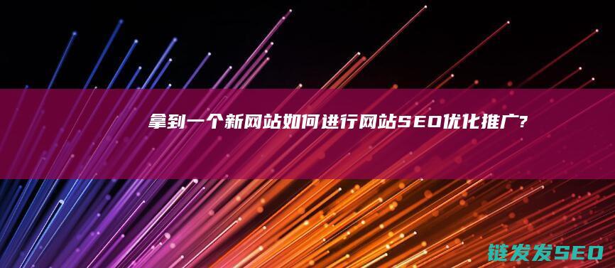 拿到一个新网站 如何进行网站SEO优化推广? (拿到一个新网约车证书)