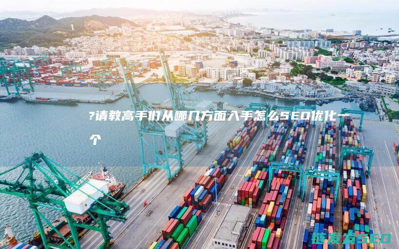 ? 请教高手们 从哪几方面入手 怎么SEO优化一个新网站 (请教高手们:请问带鱼鳞是去掉好还是留下好?)