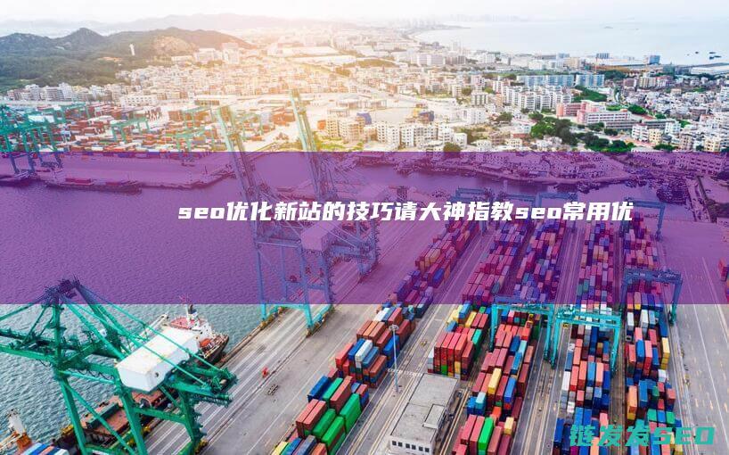 seo优化新站的技巧 请大神指教 (seo常用优化技巧)