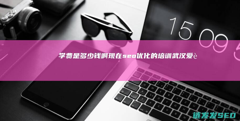 学费是多少钱啊 现在seo优化的培训 (武汉爱莎学校学费是多少钱)