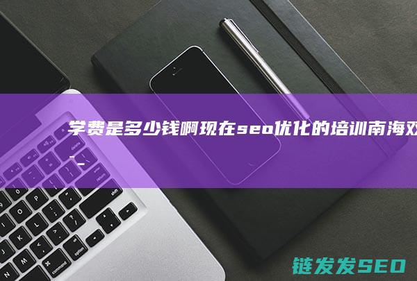 学费是多少钱啊 现在seo优化的培训 (南海双语实验学校学费是多少钱)
