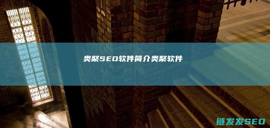 类聚SEO软件简介 (类聚软件)