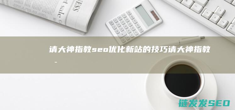 请大神指教 seo优化新站的技巧 (请大神指教是什么意思)