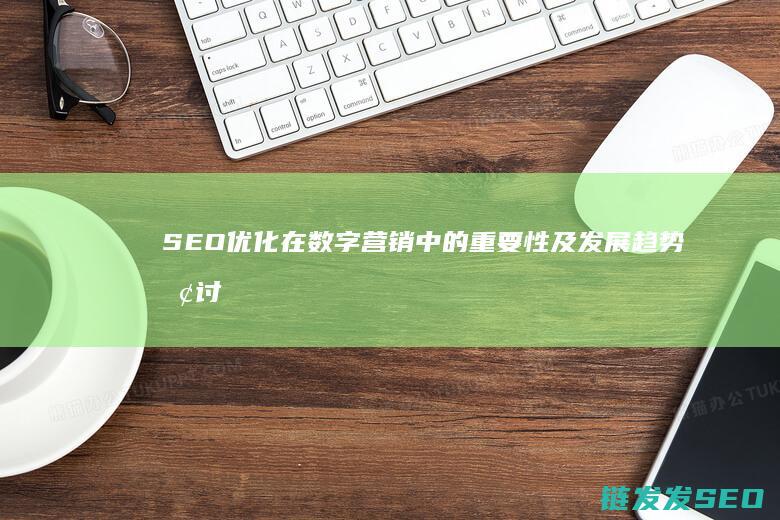 SEO优化在数字营销中的重要性及发展趋势探讨 (seo的优化流程)
