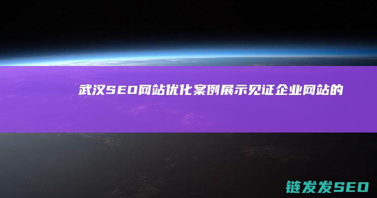武汉SEO网站优化案例展示：见证企业网站的成功转型 (武汉seo网络营销推广)