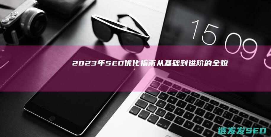 2023年SEO优化指南：从基础到进阶的全貌解析 (2023年是什么年)