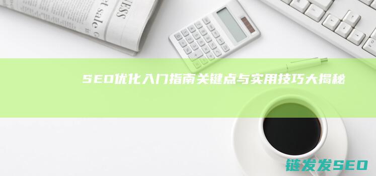 SEO优化入门指南：关键点与实用技巧大揭秘 (优化 seo)