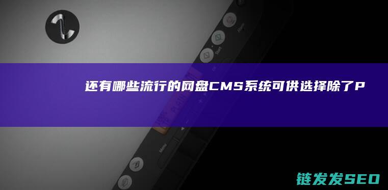 还有哪些流行的网盘CMS系统可供选择除了P