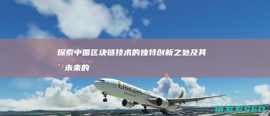 中国区块链技术的独特创新之处及其对未来的