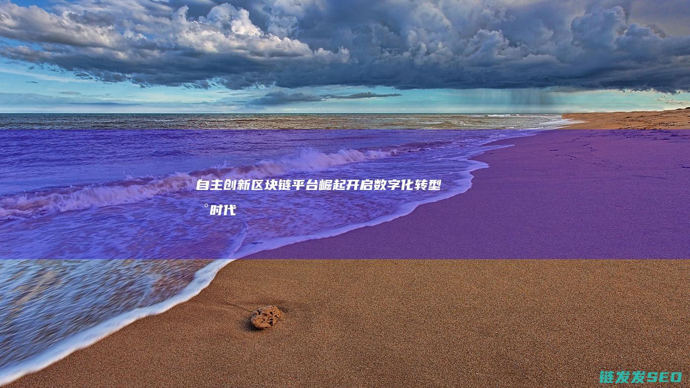 自主创新区块链平台崛起：开启数字化转型新时代 (自主创新区块有哪些)