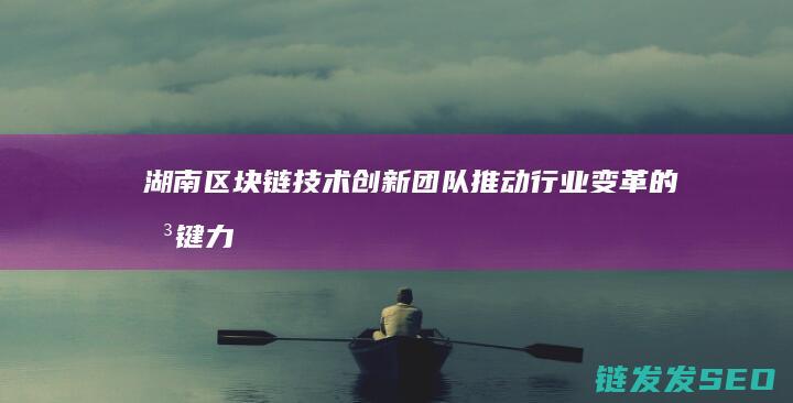 湖南区块链技术创新团队：推动行业变革的关键力量 (湖南区块链公司)