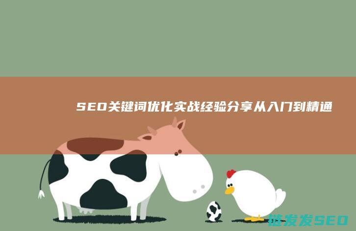 SEO关键词优化实战经验分享：从入门到精通 (seo关键词排名优化)