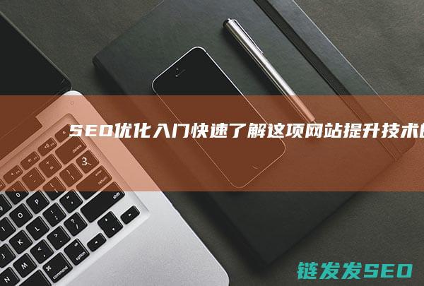 SEO优化入门：快速了解这项网站提升技术的关键点 (优化 seo)