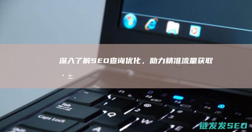 深入了解SEO查询优化，助力精准流量获取 (深入了解是啥意思)