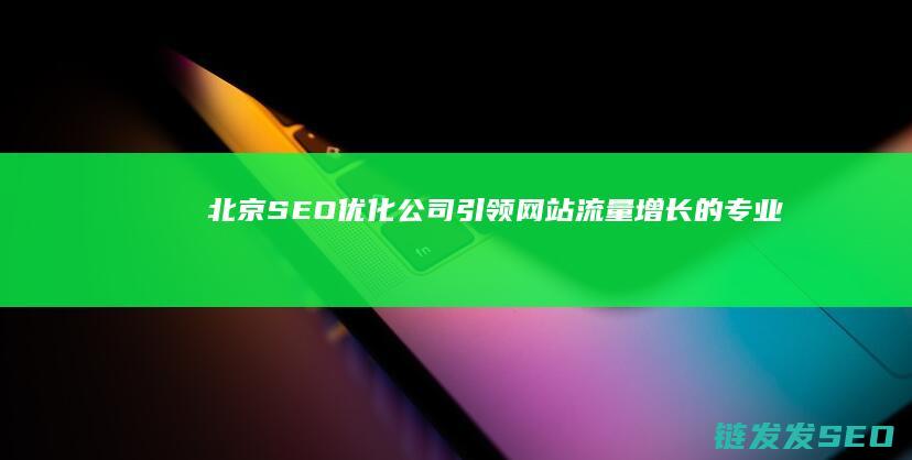 北京SEO优化公司：引领网站流量增长的专业力量 (北京seo排名优化网站)