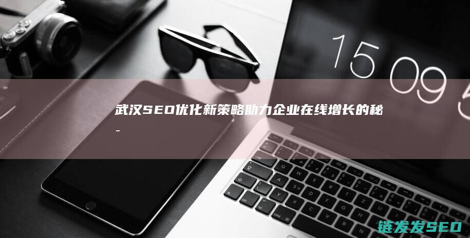 武汉SEO优化新策略：助力企业在线增长的秘密武器 (武汉seo排名)