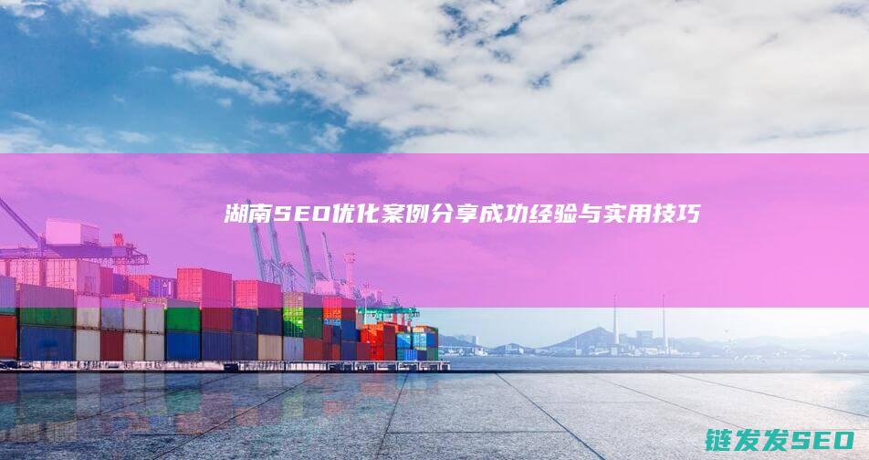 湖南SEO优化案例分享：成功经验与实用技巧 (湖南seo服务)