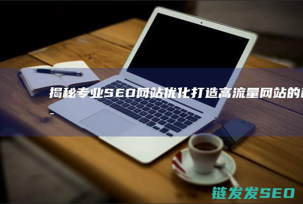 揭秘专业SEO网站优化：打造高流量网站的秘密武器 (揭秘专业术语)