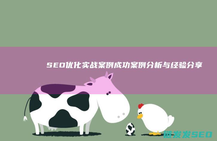 SEO优化实战案例：成功案例分析与经验分享 (SEO优化实训心得)
