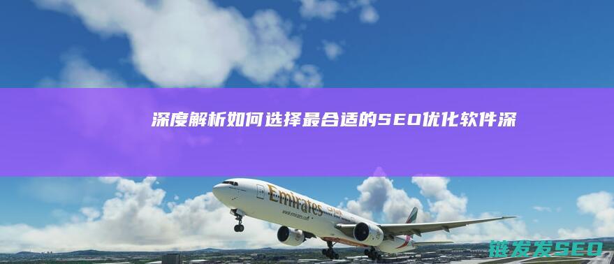 深度解析：如何选择最合适的SEO优化软件 (深度解析如龙背后的心理世界)