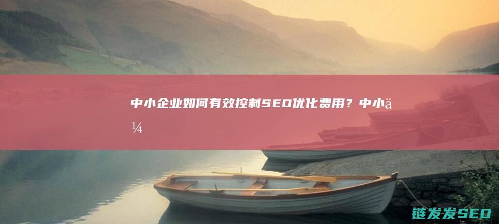 中小企业如何有效控制SEO优化费用？ (中小企业如何界定)
