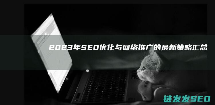2023年SEO优化与网络推广的最新策略汇总 (2023年是什么年)