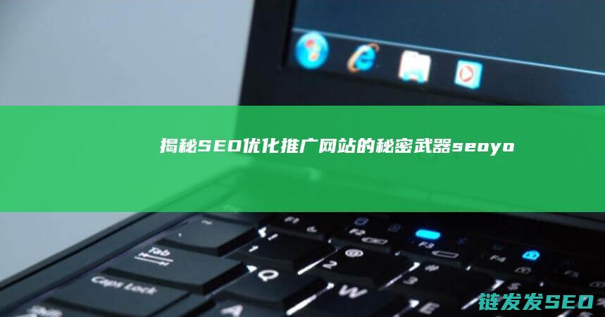 揭秘SEO优化推广网站的秘密武器 (seo you)
