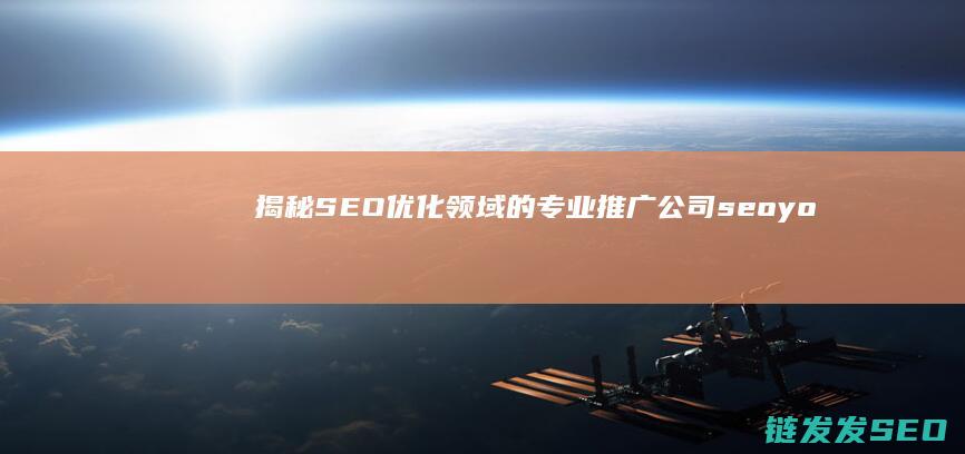 揭秘SEO优化领域的专业推广公司 (seo you)