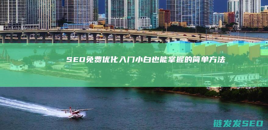SEO免费优化入门：小白也能掌握的简单方法 (seo免费优化网址软件)